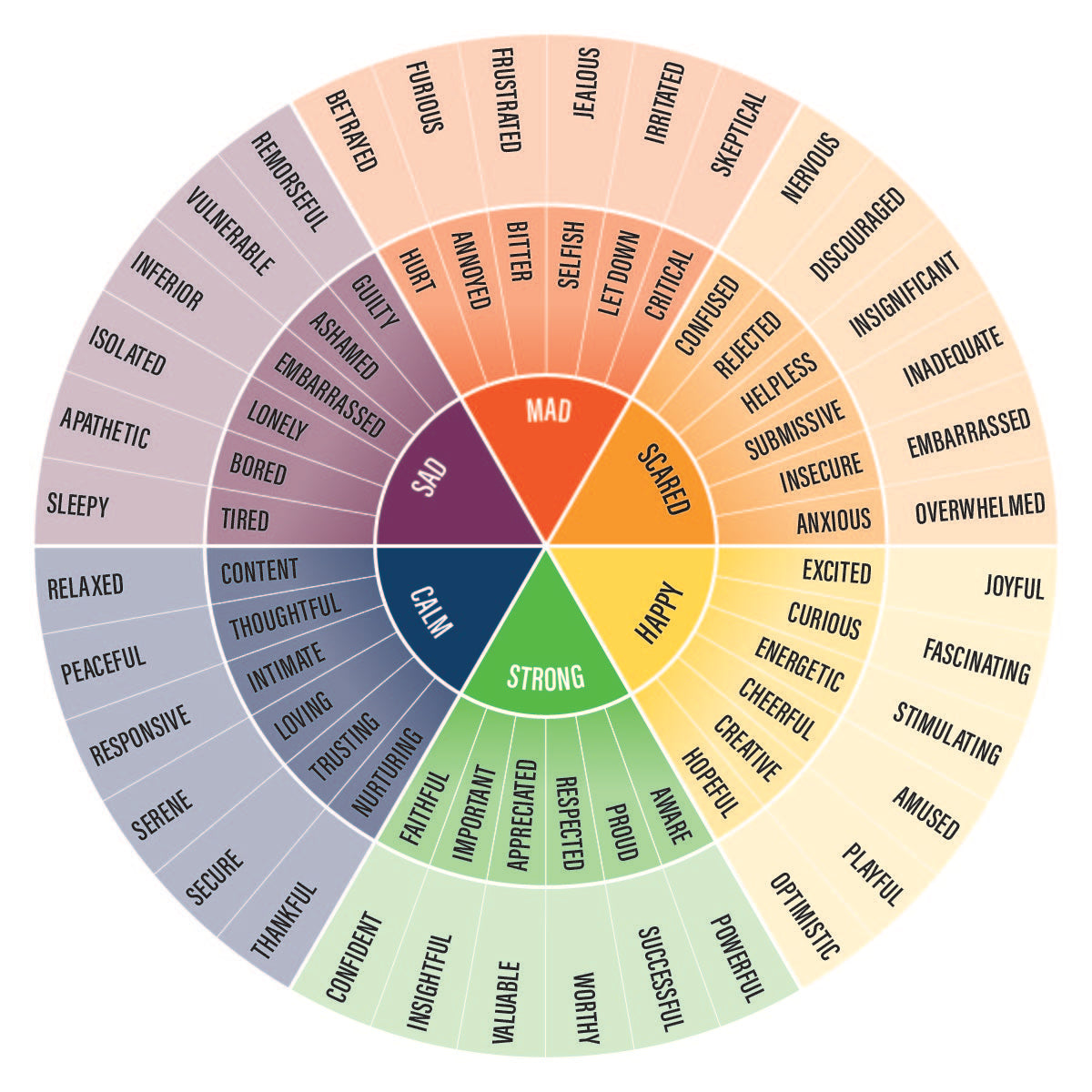 Emotion Wheel Magnet